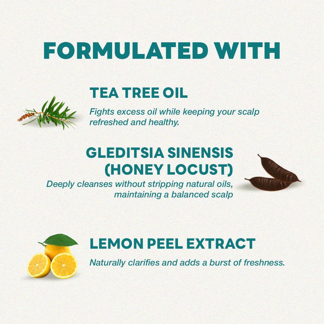 Oil Control Powder Shampoo